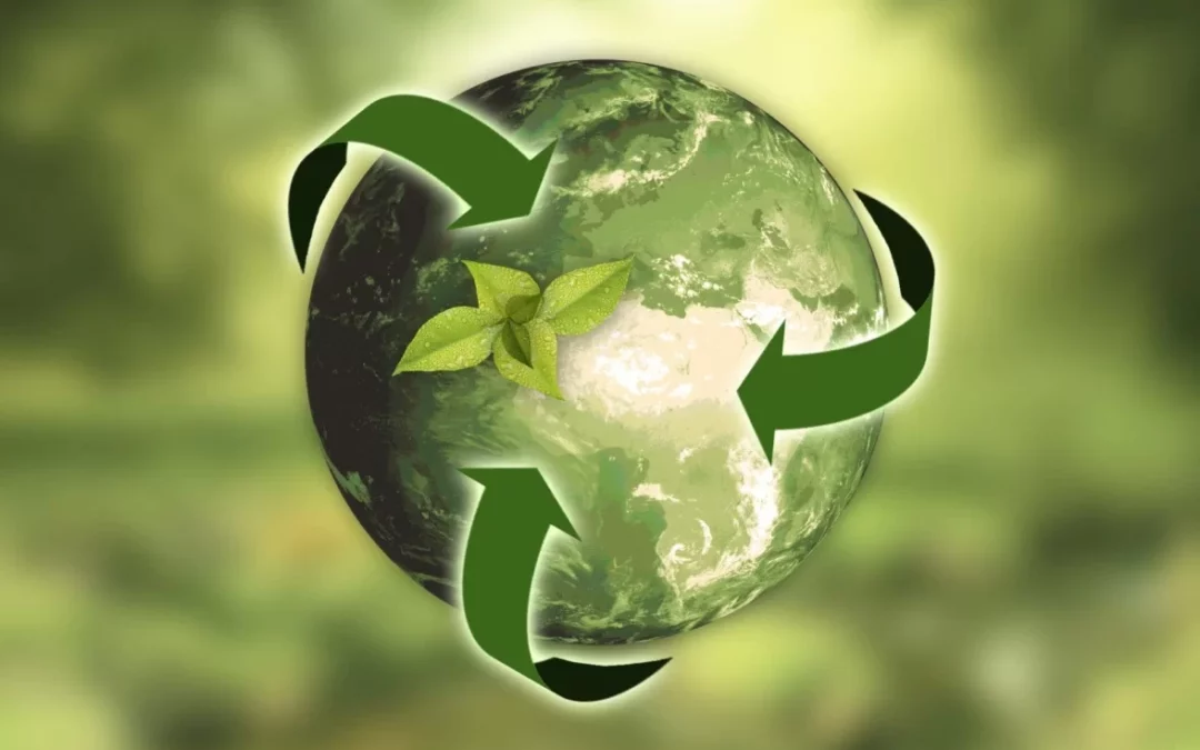 Green Marketing vs. Greenwashing